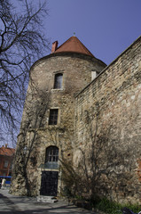 Fototapeta premium upper zagreb city tower