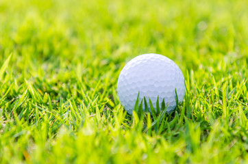 Golf ball on green grass