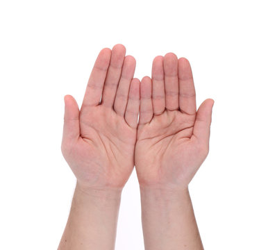 Open palm hands gesture of male hand.