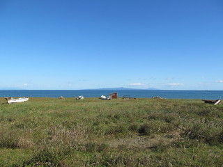 海と草原