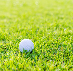 Golf ball on green grass