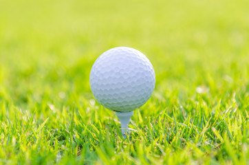 Golf ball on green grass