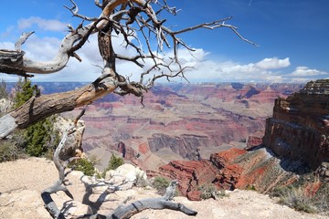 Grand Canyon, Arizona, USA