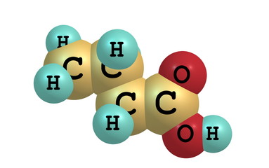 Butyric (butanoic) acid molecule isolated on white