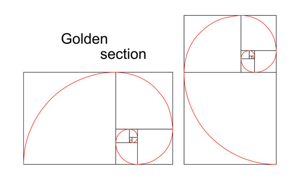 Illustration of double golden spiral - ratio, proportion
