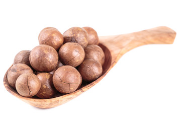 macadamia nuts