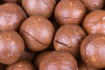 macadamia nuts