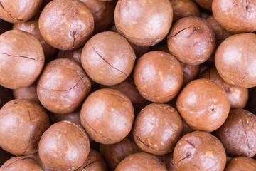 macadamia nuts