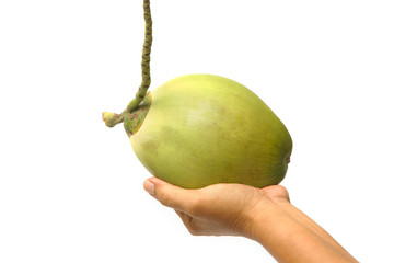 Hand holding fresh coconut