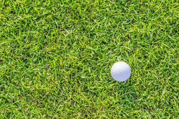 Golf ball on green grass
