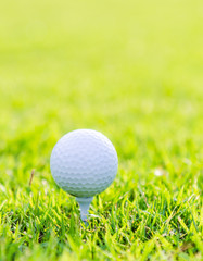 Golf ball on green grass