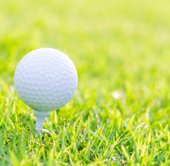 Golf ball on green grass