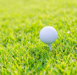 Golf ball on green grass