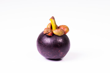 mangoteen isolated on white background.