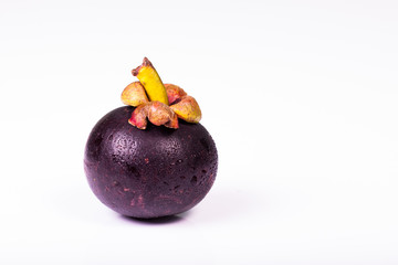 mangoteen isolated on white background.