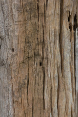 Surface brown wood texture background, high quality