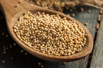 Raw Organic Mustard Seeds