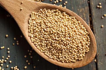 Raw Organic Mustard Seeds