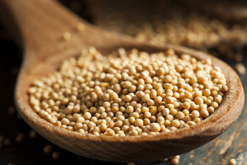 Raw Organic Mustard Seeds