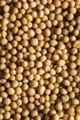 Raw Organic Mustard Seeds