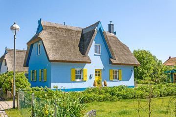 thatched-roof house