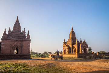 Obraz premium Temples of Bagan in Burma