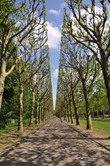 All&eacute;e du parc de Sceaux