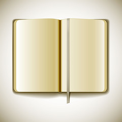 Blank opened magazine template