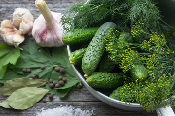 cucumbers for pickling spices