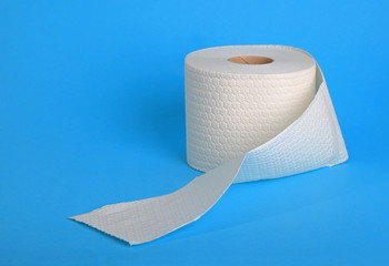 Single roll of toliet paper