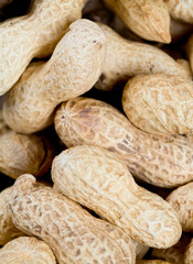 peanuts on an old wooden surface