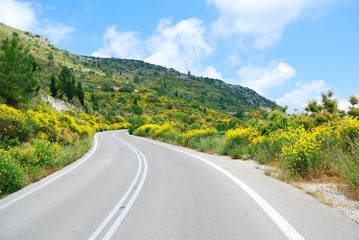Asphalt road winding through flower hills