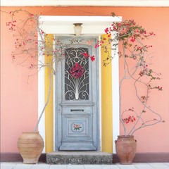 Beautiful homely house door with blooming red roses