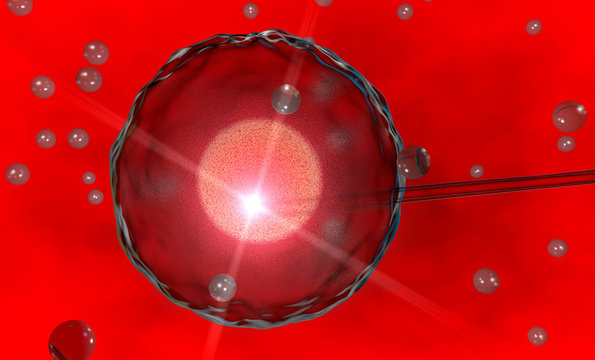 Ovulo, fecondazione assistita, artificiale