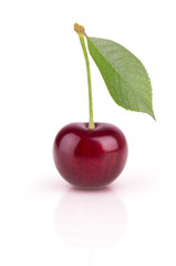 One ripe cherry
