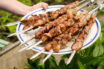Plate of delicious barbecued kebabs