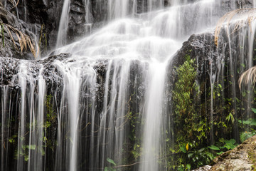 Fototapeta na wymiar Wang Bua Ban waterfall in Doi Suthep-Pui Nationnal Park , Chiang