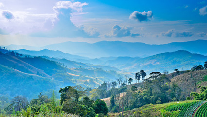 Landscape with Blue Sky and Green on the Mountain