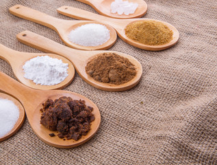 Various type of sugar on wooden spoon