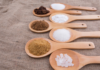 Various type of sugar on wooden spoon