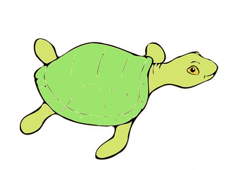 Turtle