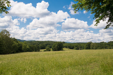 Obraz premium Naturlandschaft in Österreich im Sommer