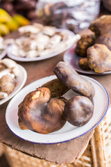 Mushrooms, still life.
