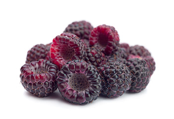 Black raspberry Cumberland