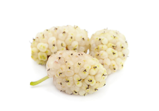 White mulberry fruit