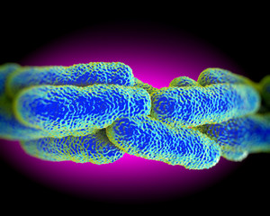 Legionella Pneumophila Bacteria, artwork
