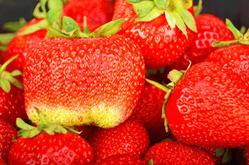 Close up of some red ripe strawberry, DOF