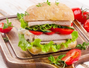 Fresh healthy sandwich