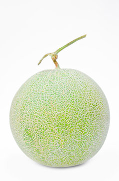 Big fresh Melon