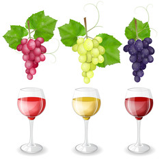 Fototapeta premium Different varieties of grapes and glasses of wine